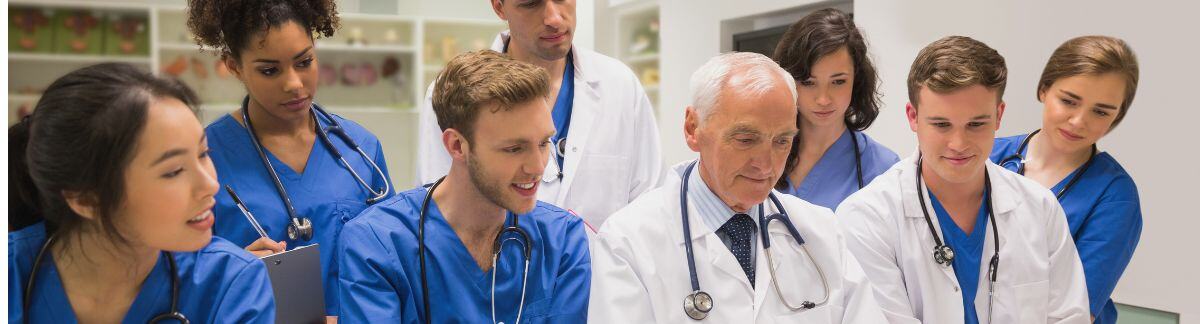 Boletín octubre 2024