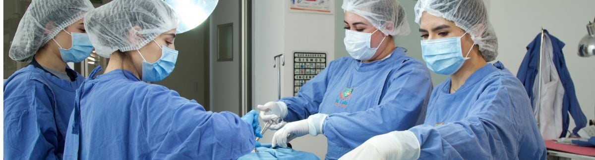 ¿No entraste a Medicina en la UNAM? Aún puedes estudiar con su plan de estudios y obtener su título oficial